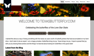 Texasbutterfly.com thumbnail