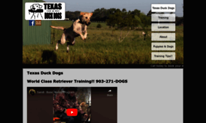 Texasduckdogs.com thumbnail