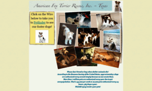 Texasfoxterrierrescue.com thumbnail