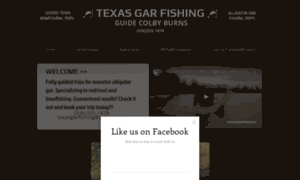 Texasgarfishing.com thumbnail