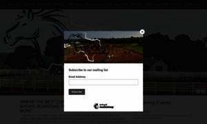 Texasrosehorsepark.com thumbnail