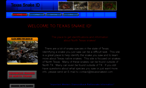 Texassnakeid.com thumbnail