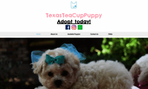 Texasteacuppuppy.com thumbnail