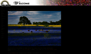 Texaswildflowerpictures.com thumbnail