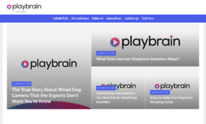 Th.playbrain.me thumbnail