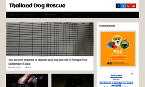 Thailanddog.org thumbnail