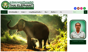 Thailandelephant.org thumbnail