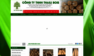 Thailibois.bizz.vn thumbnail