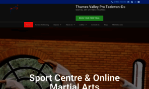 Thamesvalleytaekwondo.com thumbnail