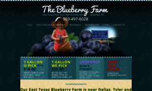 The-blueberry-farm.com thumbnail