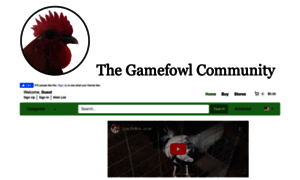 The-gamefowl-community.com thumbnail