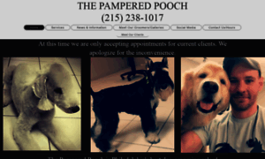 The-pampered-pooch.com thumbnail
