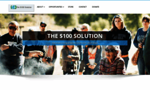 The100dollarsolution.org thumbnail