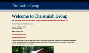 Theamishgroup.com thumbnail