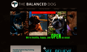 Thebalanceddog.net thumbnail