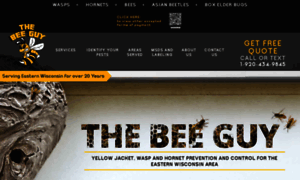 Thebeeguy.com thumbnail