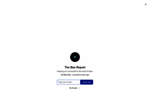 Thebeereport.substack.com thumbnail