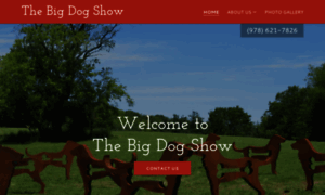 Thebigdogshow.com thumbnail