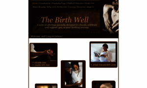 Thebirthwell.com thumbnail