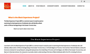 Theblackexperienceproject.ca thumbnail