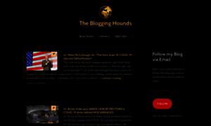 Theblogginghounds.com thumbnail