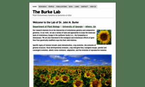 Theburkelab.org thumbnail