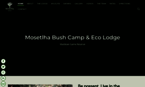 Thebushcamp.com thumbnail