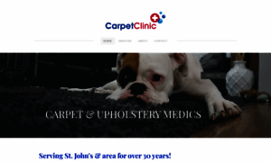 Thecarpetclinic.ca thumbnail