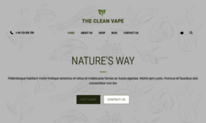 Thecleanvape.com thumbnail