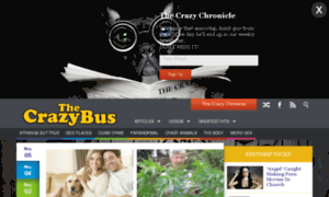 Thecrazybus.com thumbnail