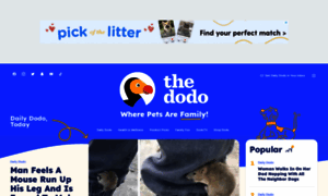 Thedodo.com thumbnail