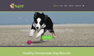 Thedoggonehealthy.com thumbnail