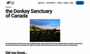 Thedonkeysanctuary.ca thumbnail