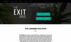 Theexitdrug.com thumbnail