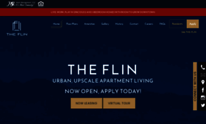 Theflin.com thumbnail