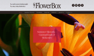 Theflowerbox.co.uk thumbnail