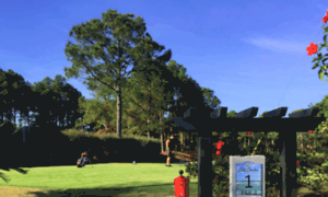 Thegolfgardenofdestin.com thumbnail