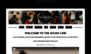 Thegoodlifedogdaycare.com thumbnail