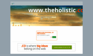 Theholistic.co thumbnail