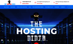 Thehostingninja.com thumbnail