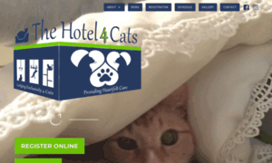 Thehotel4cats.com thumbnail