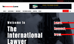 Theinternationallawyer.org thumbnail