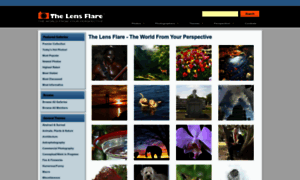 Thelensflare.com thumbnail