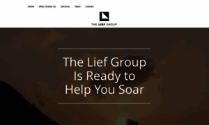 Theliefgroup.com thumbnail