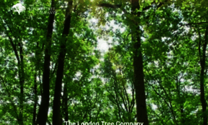 Thelondontreecompany.co.uk thumbnail