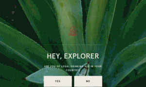 Thelostexplorer.net thumbnail