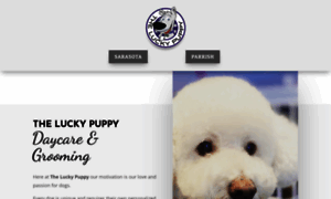 Theluckypuppyfl.com thumbnail