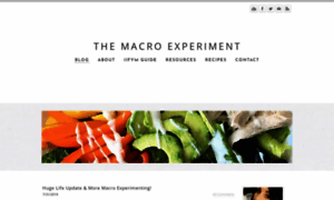 Themacroexperiment.com thumbnail