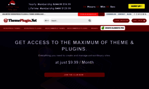Themeplugin.net thumbnail