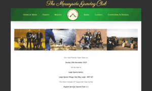 Themerseysidegundogclub.co.uk thumbnail